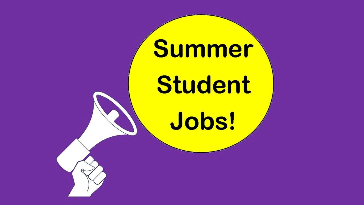 summer student